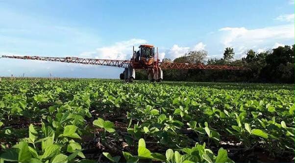 Agricultura é o setor que receberá mais recursos no estado  (Fotos: divulgação)