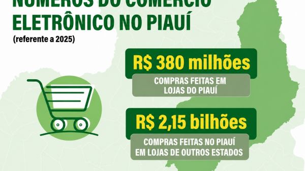 Quanto movimenta o comércio eletrônico no Piauí